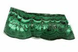 Flowery Polished Malachite Slab - DR Congo #266812-1